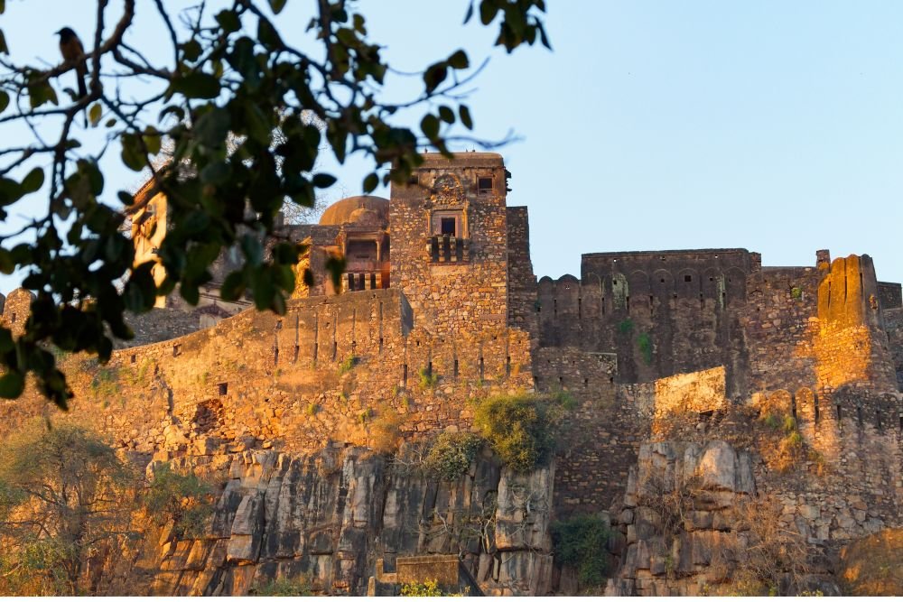 Ranthambore Fort